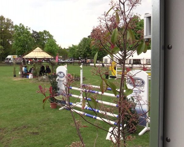 Reitturnier Meppen 2019