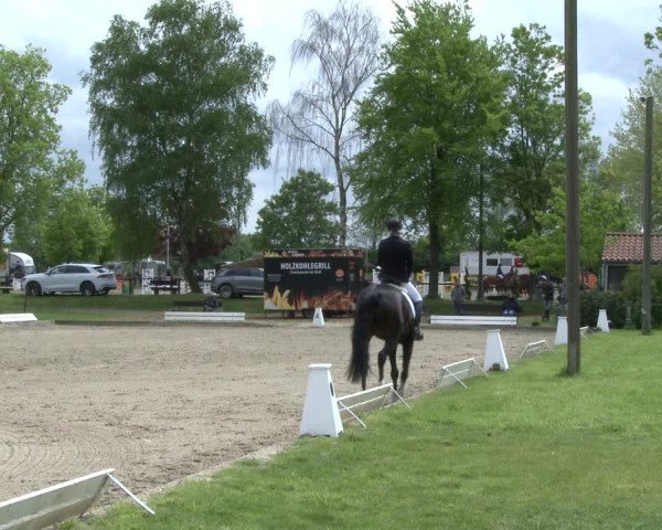 Reitturnier Ahlen 2019