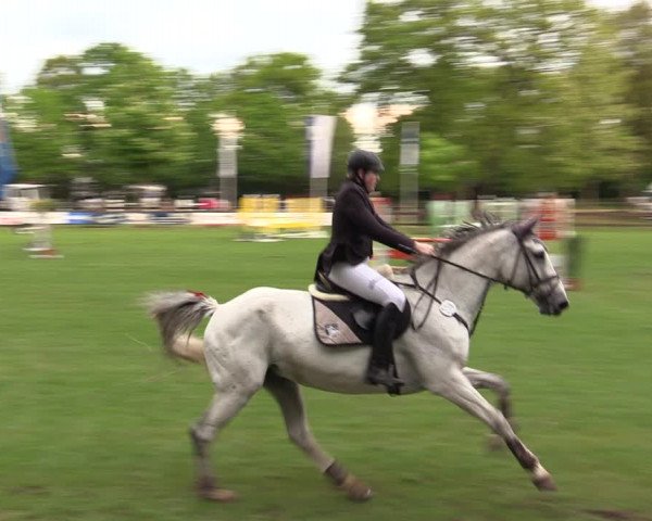 Reitturnier Meppen 2019