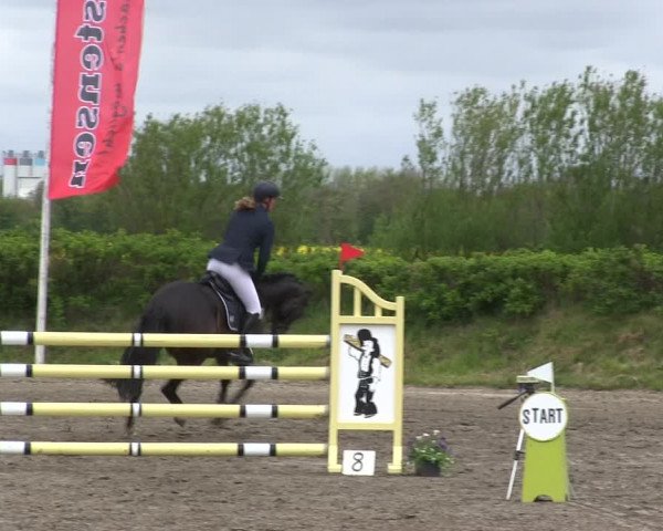 Reitturnier Risum-Lindholm 2019