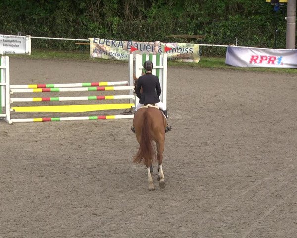 Reitturnier Eppelheim 2019