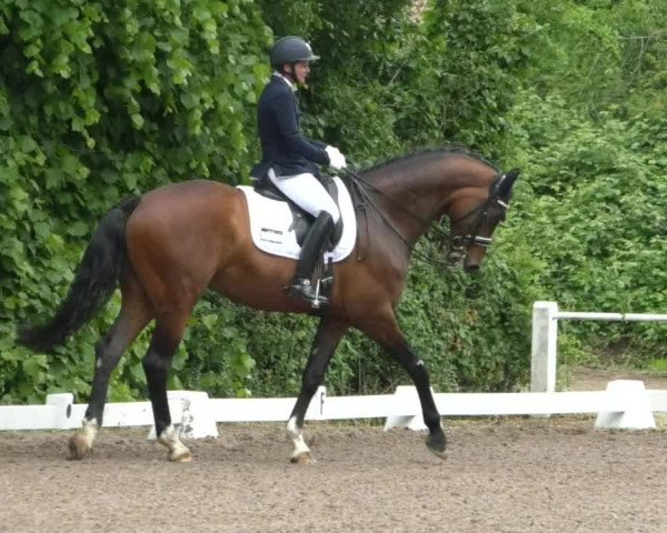 Reitturnier Eppelheim 2019