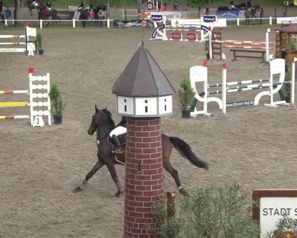 Reitturnier Eppelheim 2019