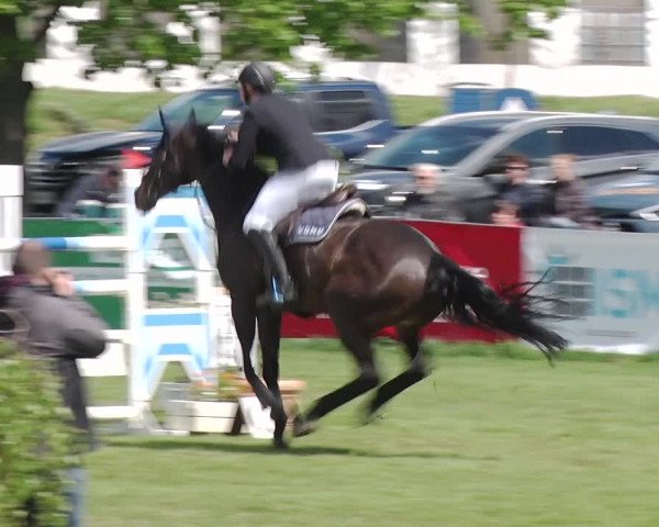 Reitturnier Greppin 2019