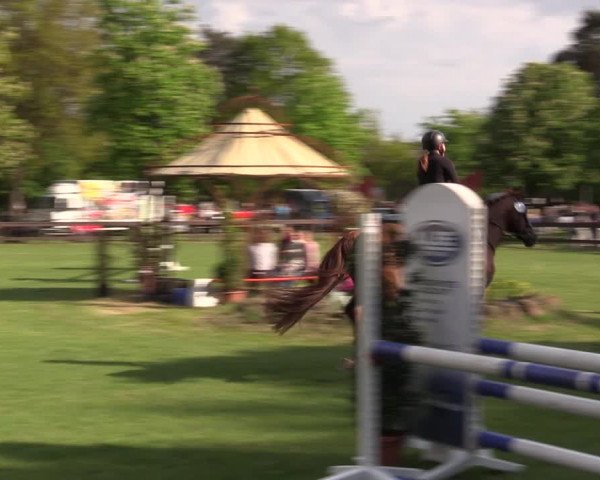 Reitturnier Meppen 2019