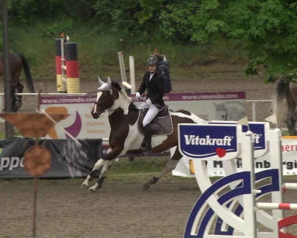Reitturnier Eppelheim 2019