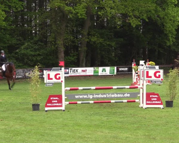 Reitturnier Meppen 2019