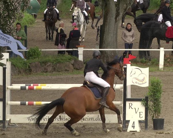Reitturnier Eppelheim 2019