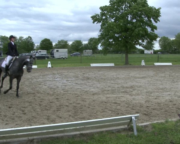 Reitturnier Ahlen 2019