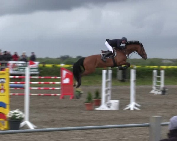 Reitturnier Risum-Lindholm 2019