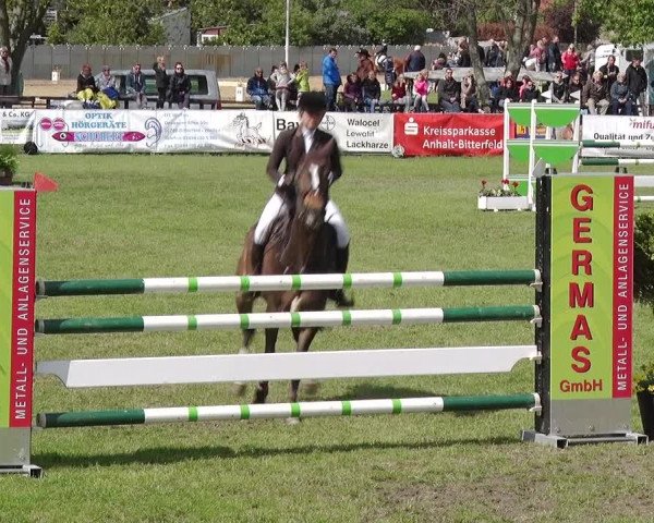 Reitturnier Greppin 2019