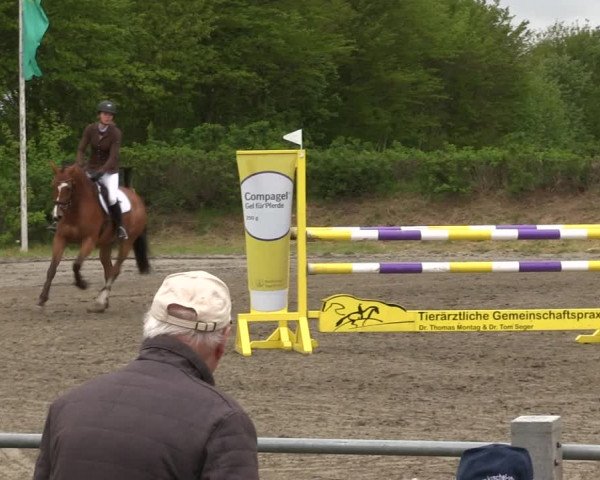 Reitturnier Risum-Lindholm 2019
