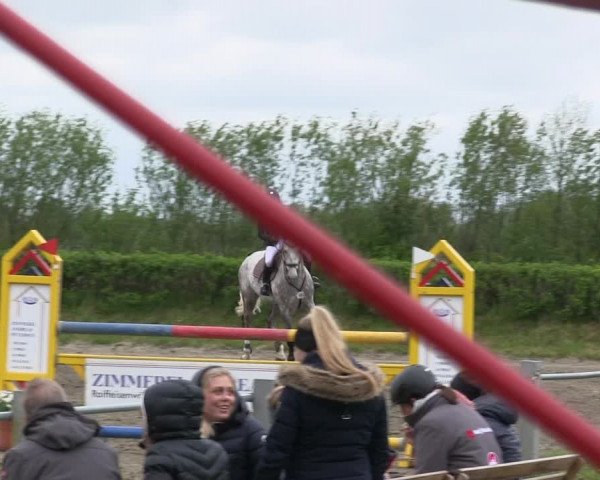 Reitturnier Risum-Lindholm 2019