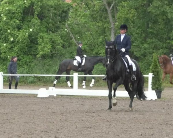 Reitturnier Eppelheim 2019