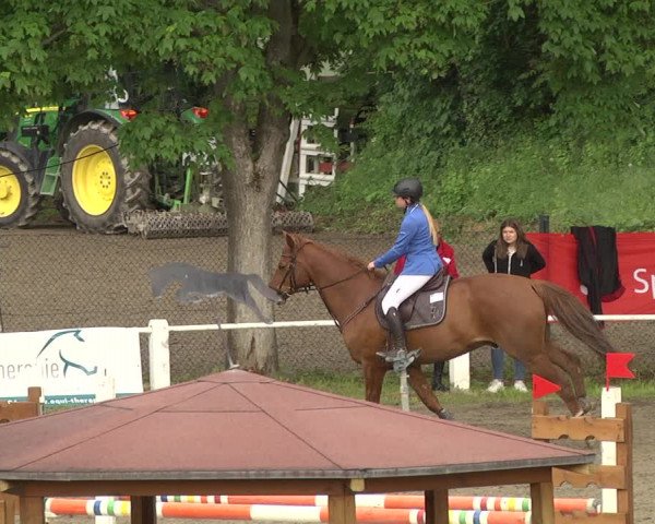Reitturnier Eppelheim 2019