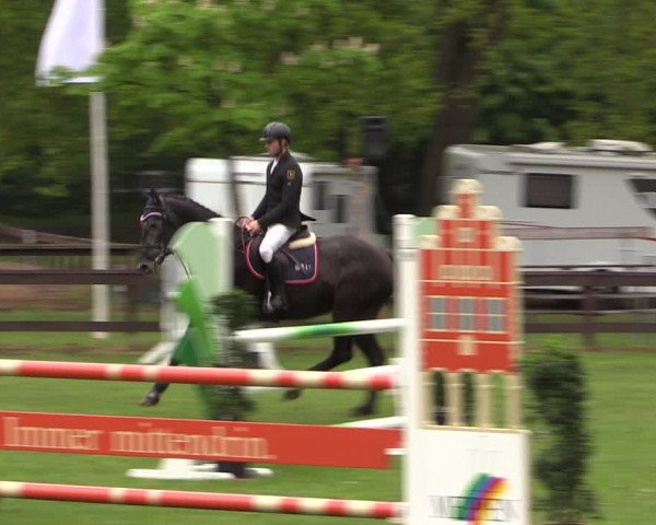 Reitturnier Meppen 2019