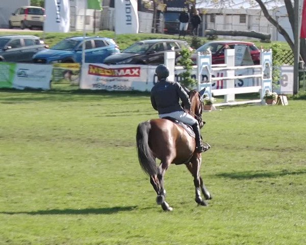 Reitturnier Greppin 2019
