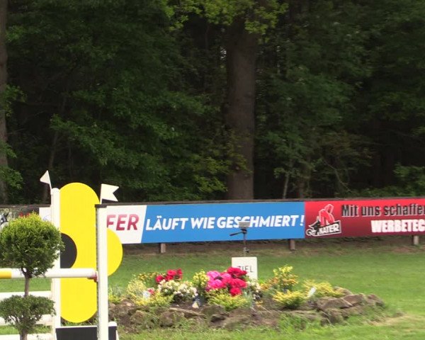Reitturnier Meppen 2019
