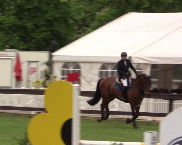 Reitturnier Meppen 2019