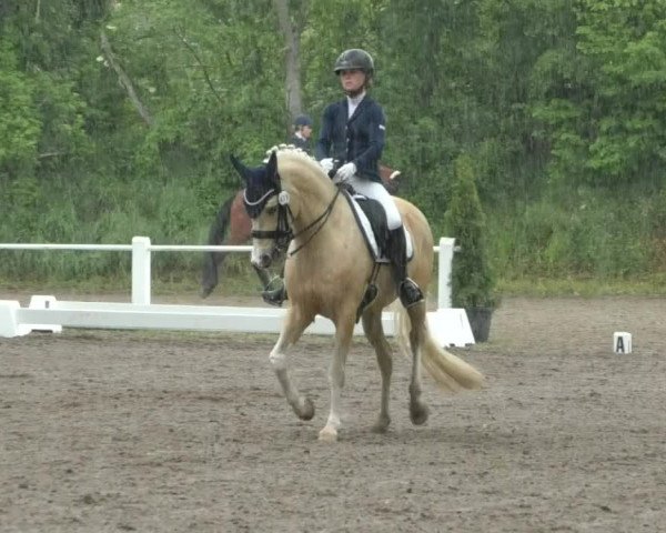 Reitturnier Eppelheim 2019
