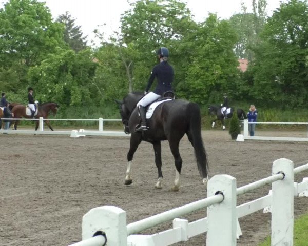 Reitturnier Eppelheim 2019