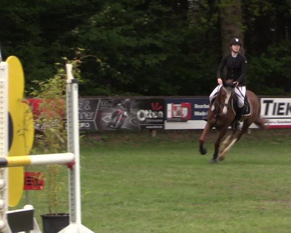Reitturnier Meppen 2019