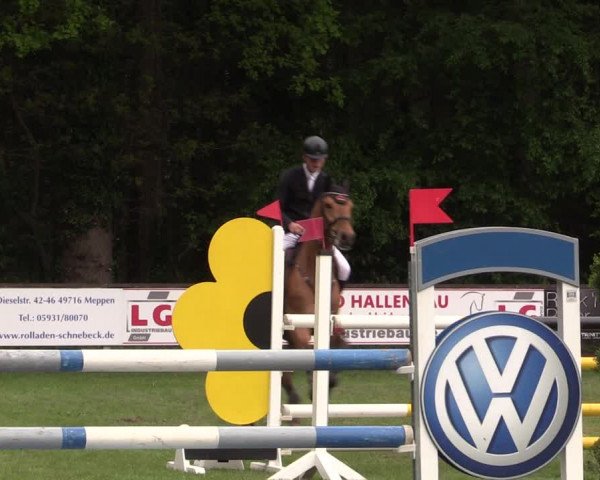 Reitturnier Meppen 2019