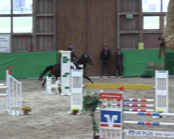 Krumke Hallenturnier mit KM 2021