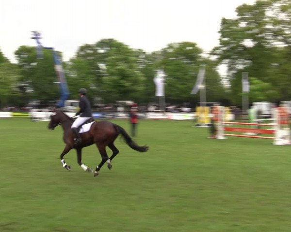 Reitturnier Meppen 2019