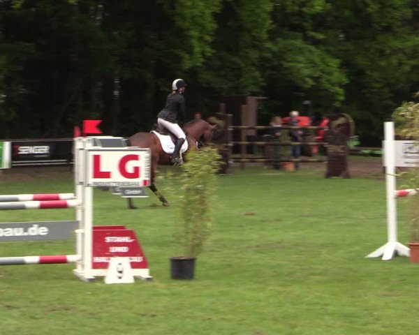 Reitturnier Meppen 2019
