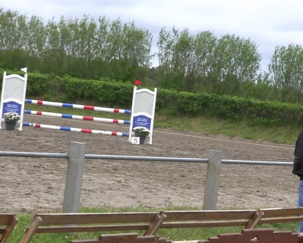 Reitturnier Risum-Lindholm 2019