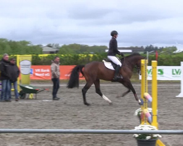 Reitturnier Risum-Lindholm 2019