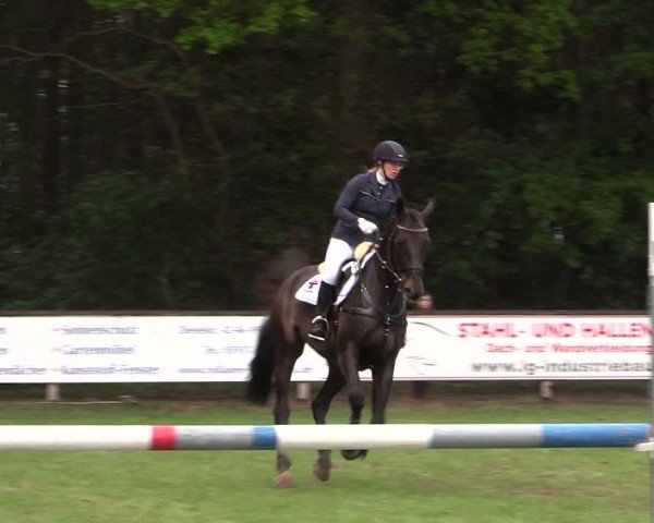 Reitturnier Meppen 2019