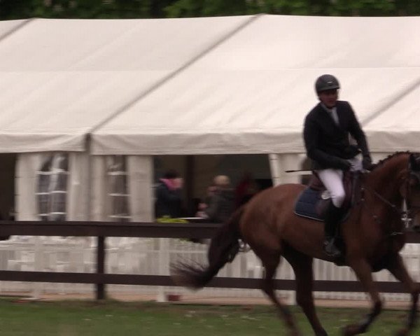 Reitturnier Meppen 2019