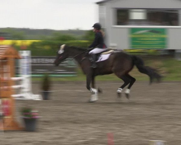Reitturnier Risum-Lindholm 2019