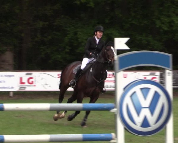 Reitturnier Meppen 2019