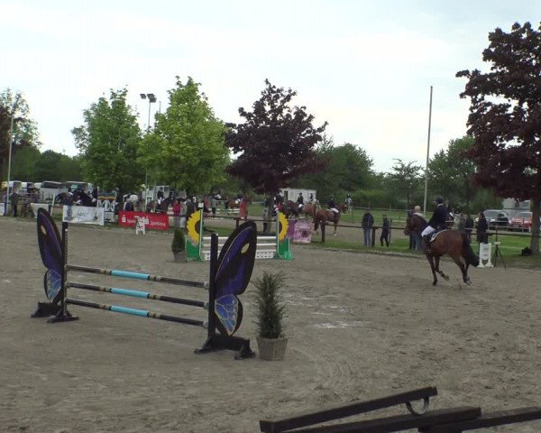 Reitturnier Ahlen 2019