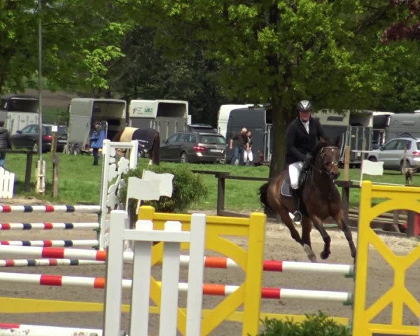 Reitturnier Ahlen 2019
