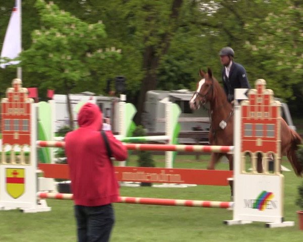 Reitturnier Meppen 2019