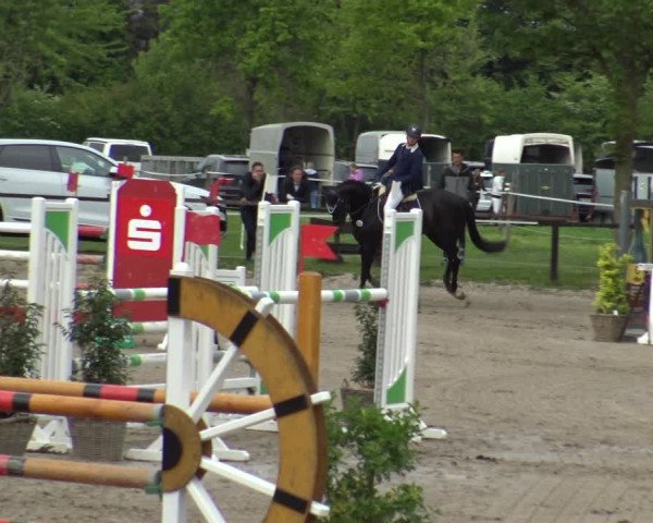 Reitturnier Ahlen 2019