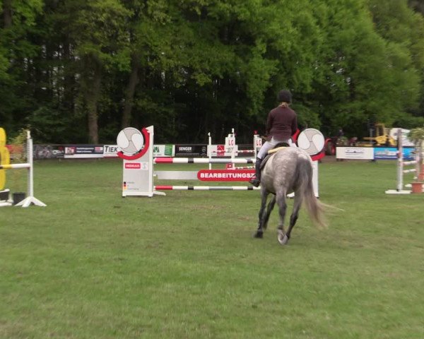 Reitturnier Meppen 2019