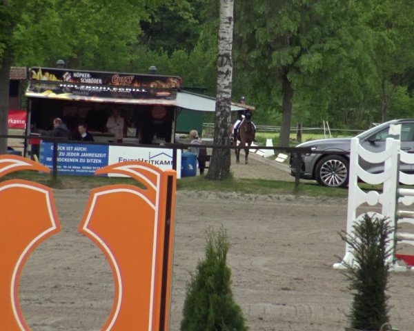 Reitturnier Ahlen 2019