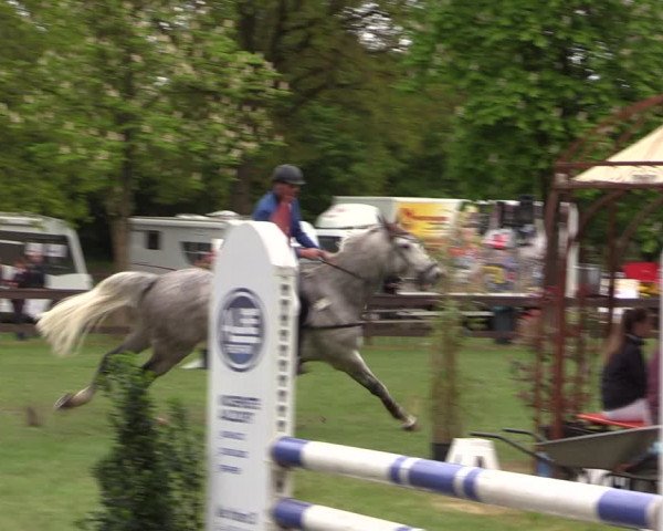 Reitturnier Meppen 2019