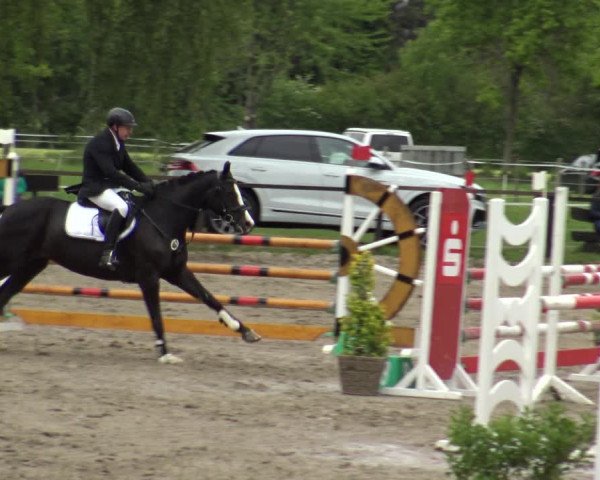 Reitturnier Ahlen 2019