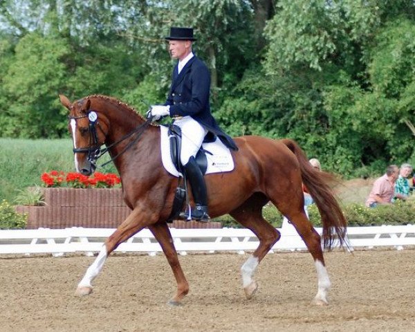 Pferd Wesley (Hannoveraner, 1998, von Weltruhm)