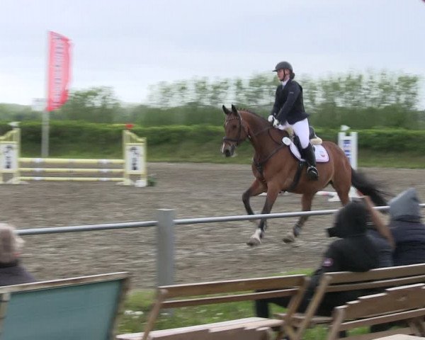 Reitturnier Risum-Lindholm 2019