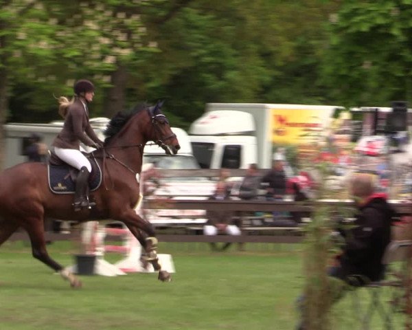 Reitturnier Meppen 2019