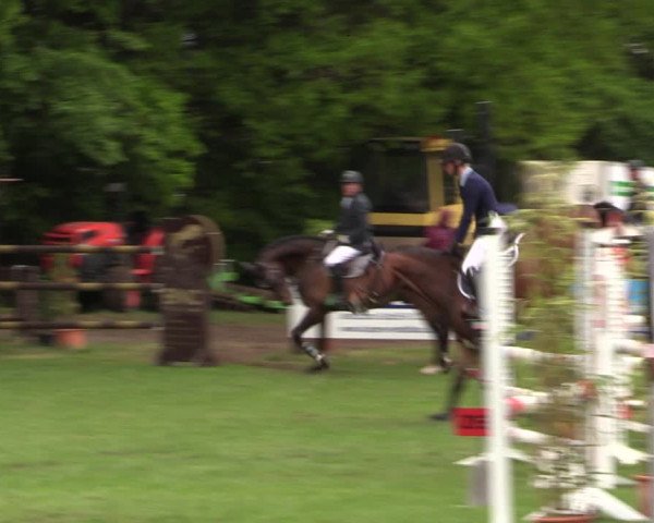 Reitturnier Meppen 2019