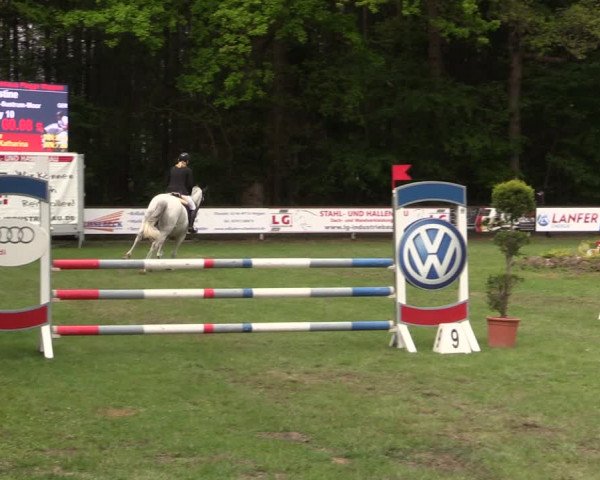 Reitturnier Meppen 2019