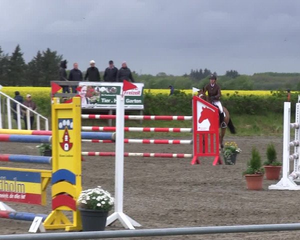 Reitturnier Risum-Lindholm 2019